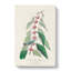 Blue-green Warbler Bird by John James Audubon - Wrapped Canvas-55362833