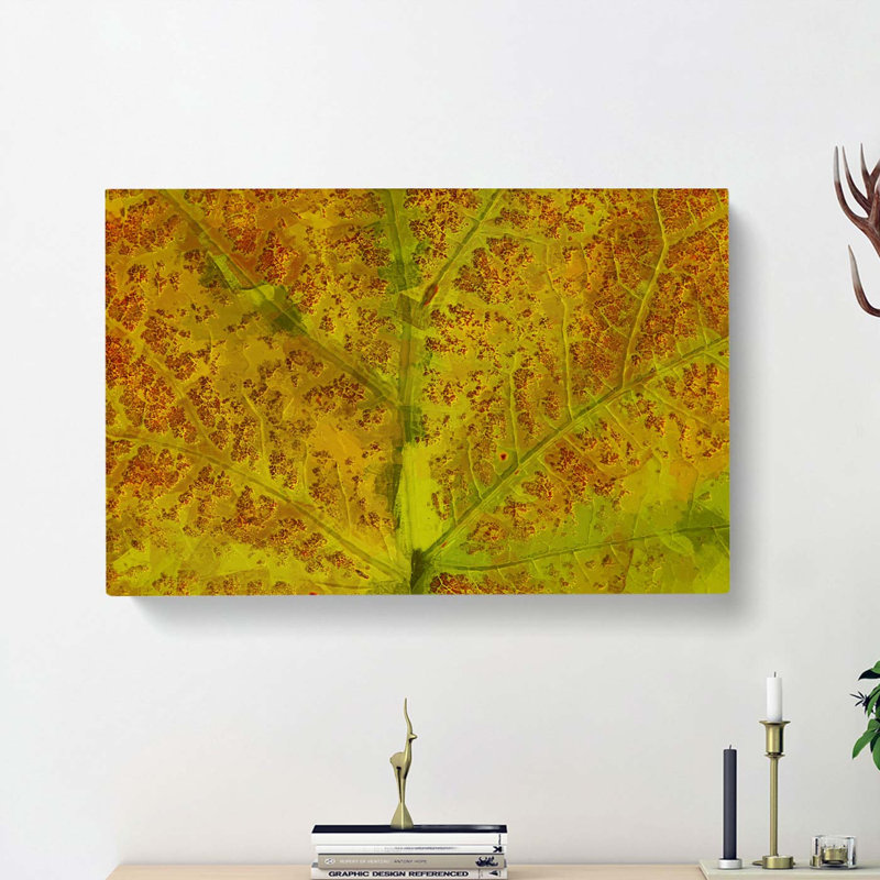 Veins Of The Leaf In Abstract - Wrapped Canvas, 35cm H x 50cm W x 3cm D