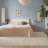 Shell Washable Rug-1573319033-1550427071