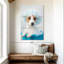 Ketti terrier au bain bleu-108536555