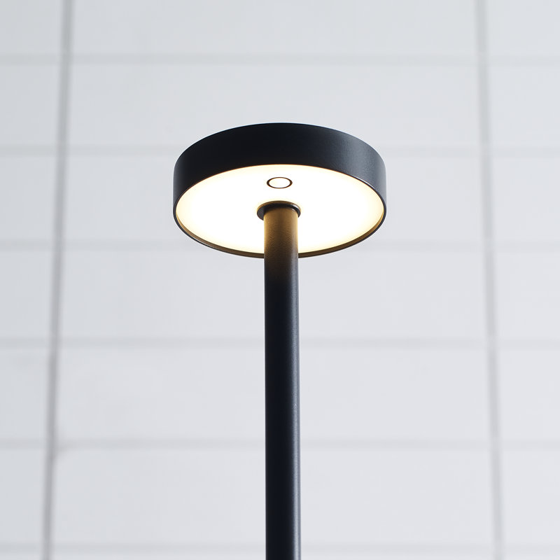Moneta Medium Rechargeable Floor Lamp, Black