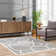 Davyeon Abstract Gray Area Rug