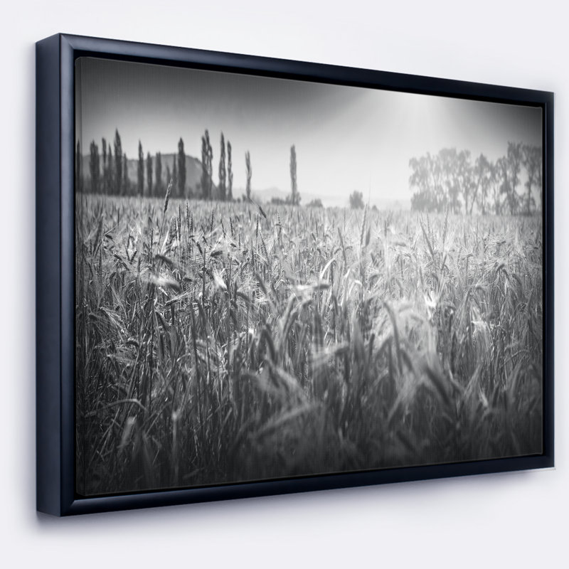Noir et blanc blé, reproduction de photo sur toile tendue, H 14 po x l 22 po x P 1 po, Cadre flottant noir