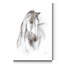 «Watercolor Equine Study I», reproduction d'art sur toile tendue-2061511846