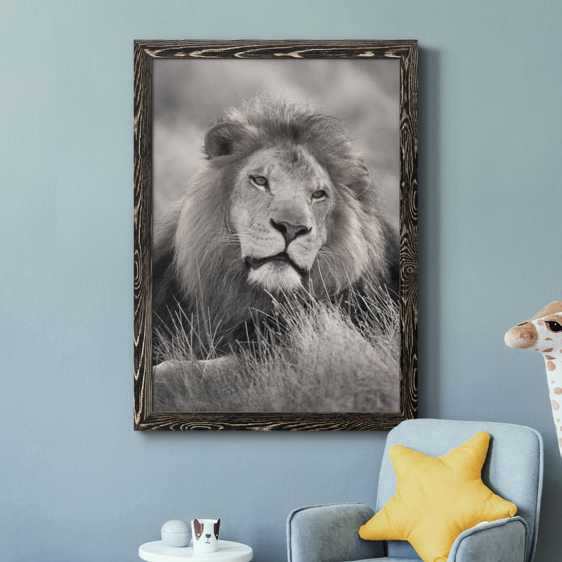 Pride of the Pride - Photographie de cadre photo sur toile, Cadre noir, H 37,5 po x l 27,5 po x P 1,5 po