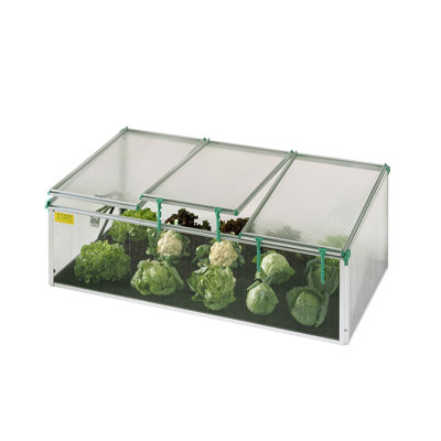 Cold Frame Seed Starter