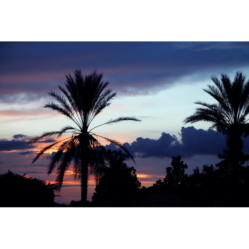Palm Trees - Wrapped Canvas Print, 61cm H x 91cm W x 3.8cm D