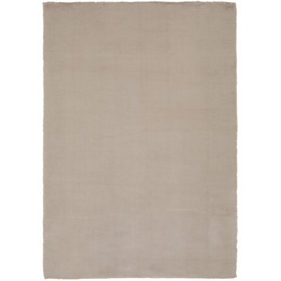 Peterson Rectangle Area Rug