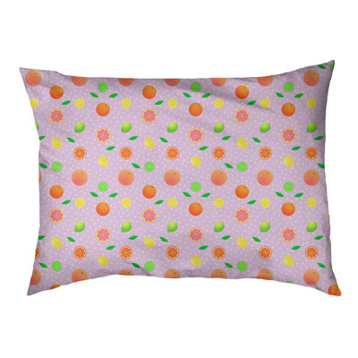 Coussin pour chien agrume fruit Byrge