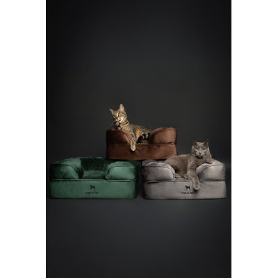 Noah & Paw Giant Dog Bed XXL,  Orthopedic Dog Beds, Eggshell Memory Foam Infused with Cooling Gel, Inner Cover, Waterproof, Machine Washable (Velvet Sofa Collection)