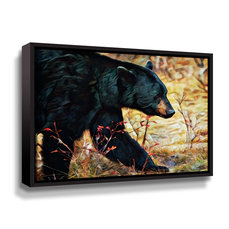 «Black Bear Scrubland Stroll» par Aldridge - impression sur toile, H 14 po x l 18 po x P 2 po, Toile encadrée noire