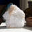 Icy Cubic Apophyllite with Stilbite