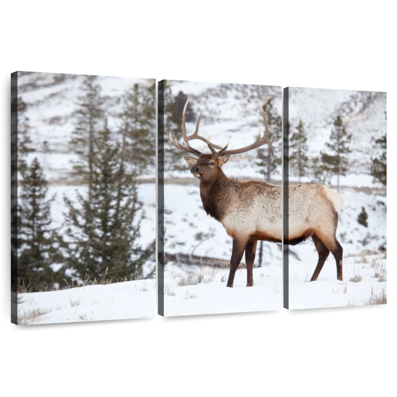 Winter Bull Elk, 28" H x 45" W