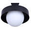 Lanterne d'extérieur 1 lumière BAYLOR, finition noire