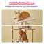 Dhanveer 63'' H Cat Tree-386654161