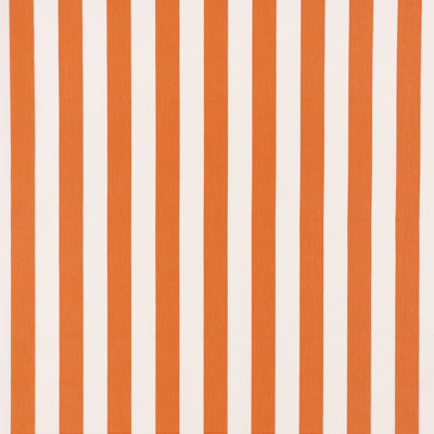 Andy Stripe Fabric