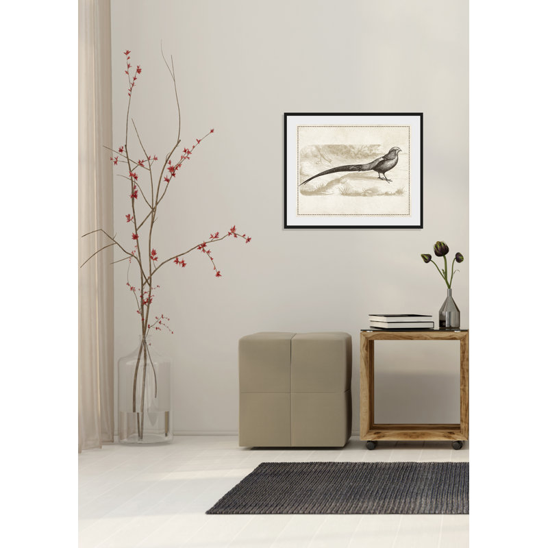 Bird - Single Picture Frame Print