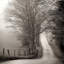 « cades cove loop », reproduction de photo sur toile-20925174