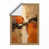 Unframed