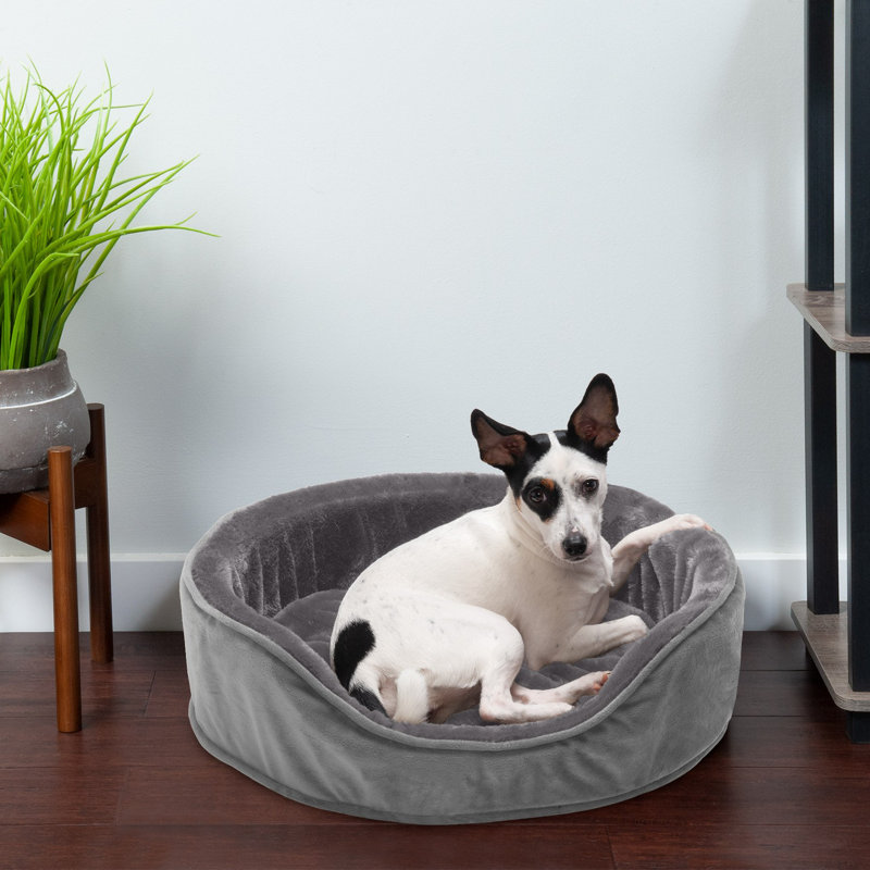 Plush & Velvet Oval Dog Bed, Medium (23" W x 18" D x 5.5" H), Smoke Gray