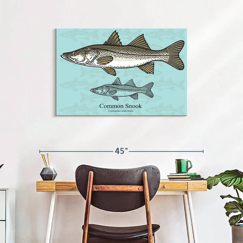 Brampt Common Snook, 24" H x 36" W