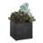  Greystone Indoor-Outdoor Succulent