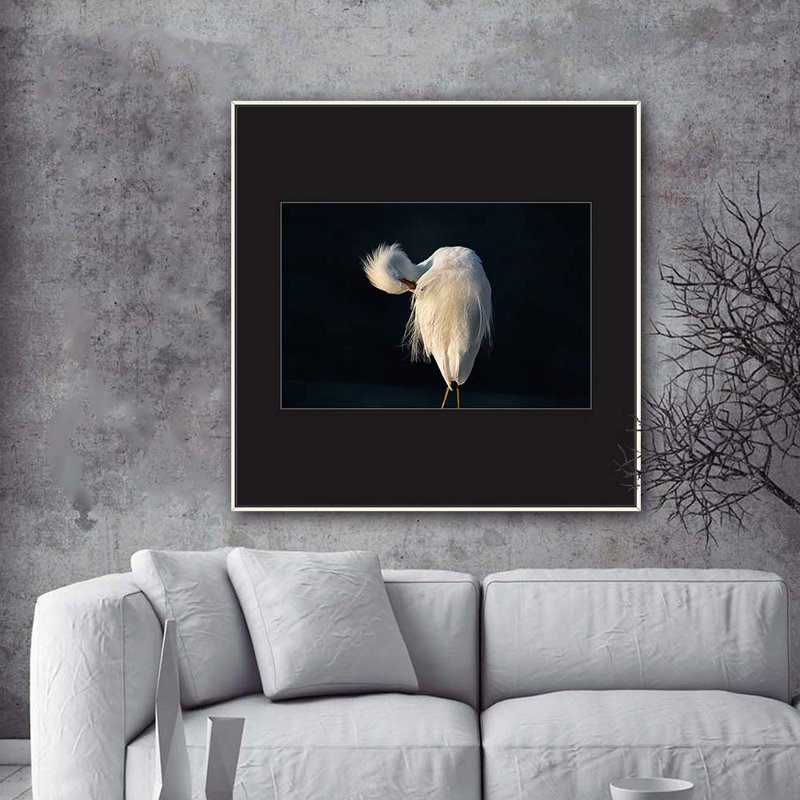 " H02 A Bird Standing ", White, 24" H x 24" W