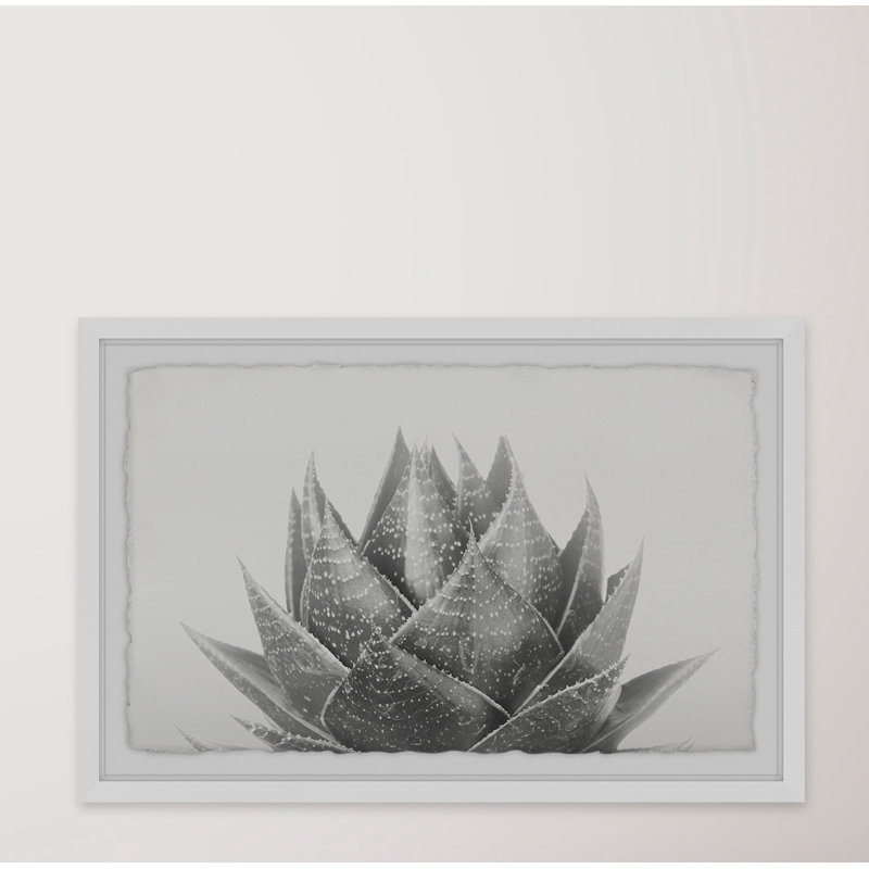Dawkins - Cadre photo, impression sur papier, H 30 po x l 45 po x P 1,5 po, Cadre blanc