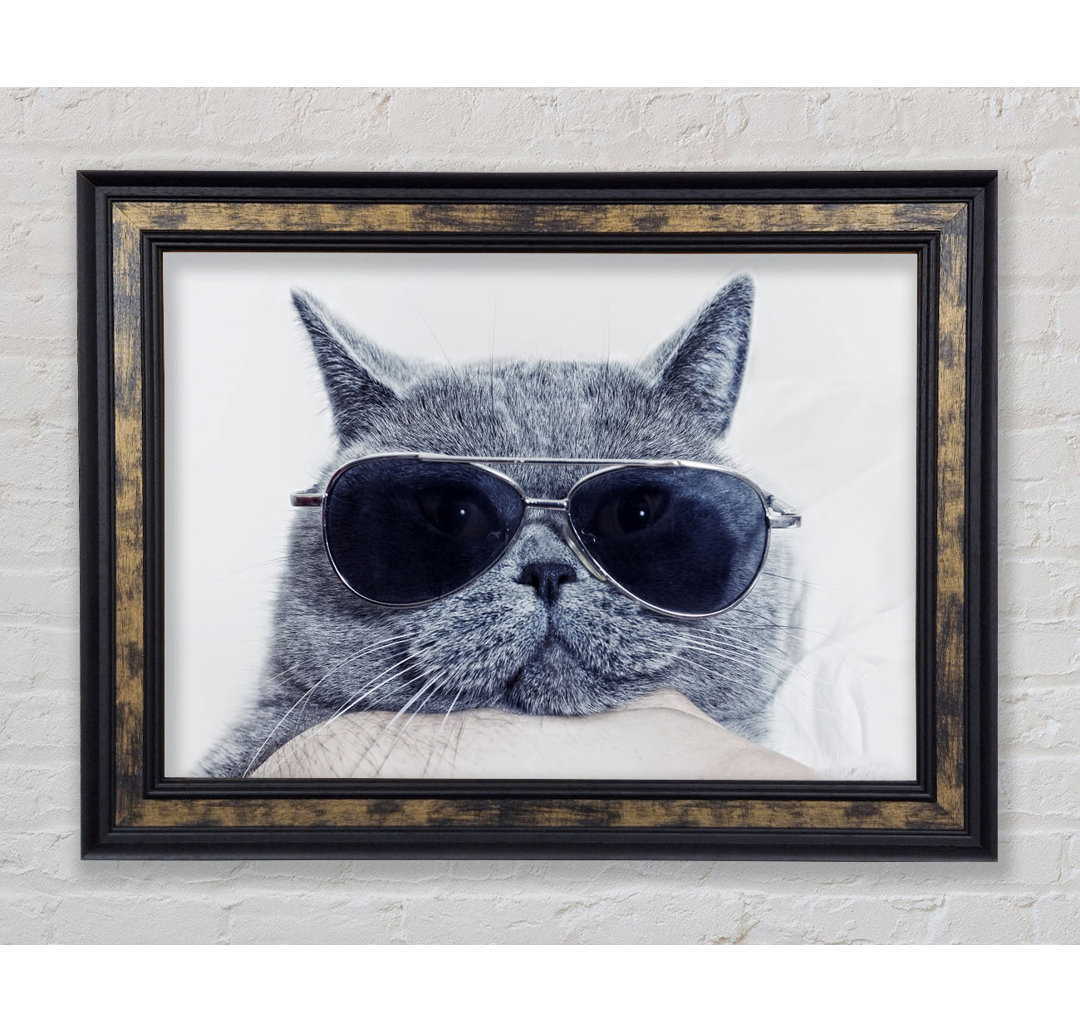 Kitty Cat Cool - Einzelne Bilderrahmen Kunstdrucke