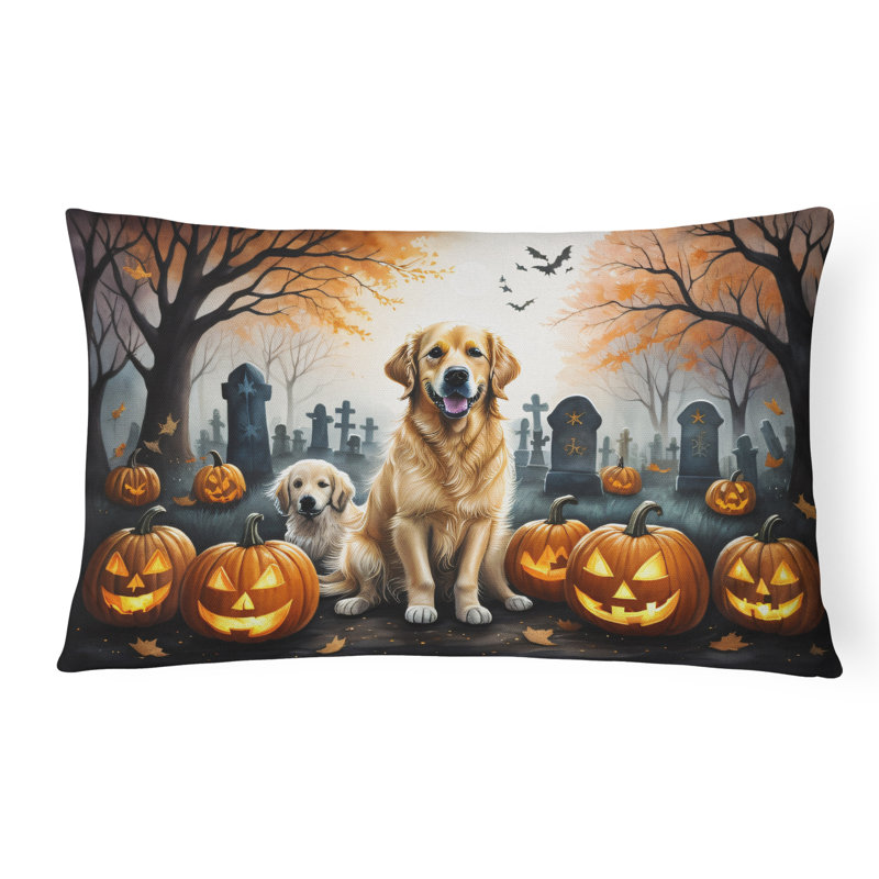 Other/No Pattern Outdoor Throw Pillow