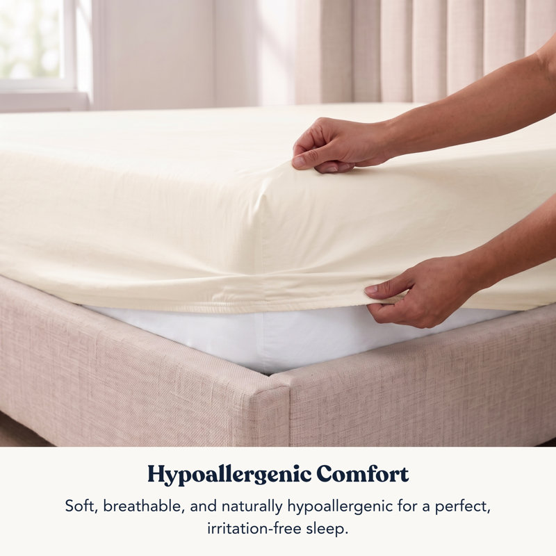 Delara GOTS-Certified Organic Cotton Sateen Fitted Sheet, 400 Thread Count, Soft Long-Staple Cotton, 16" Deep Pocket, Ivory