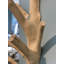 Solid Wood 15 in. Hall Tree