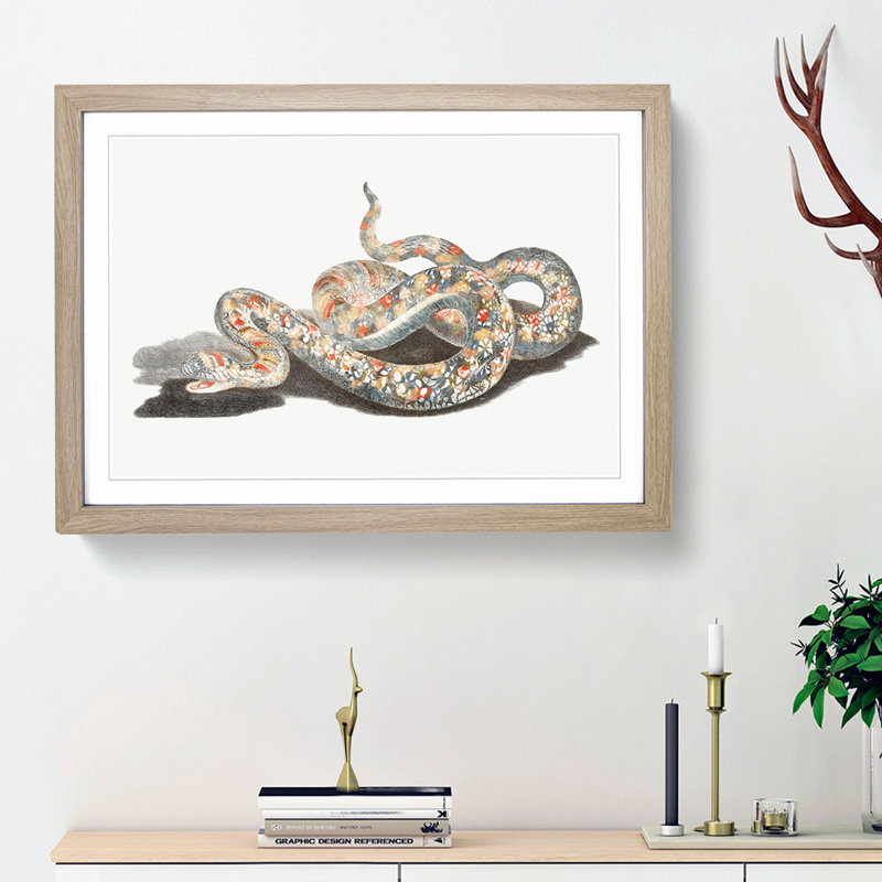 A Snake by Johan Teyler - Single Picture Frame Painting, Oak Framed, 45cm H x 63cm W x 2cm D