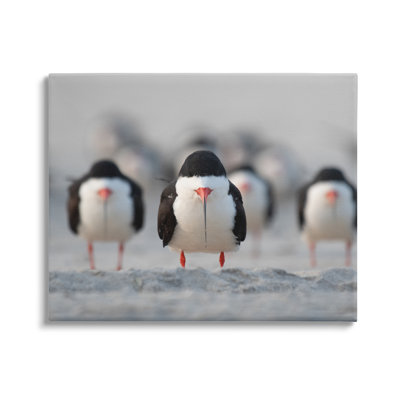 «Black Skimmer Gang» par Ke Qiang Ruan
