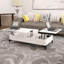 Table basse extensible avec rangement à plateau relevable Fairholme-984245417