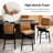 Lafrance Modern Barstool with Adjustable Features-405340135-405340133