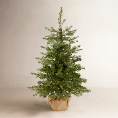 Nordic 3' Pre-Lit Spruce Christmas Tree