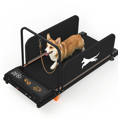 Petit tapis roulant pour chien - Édition 2026 - Équipement d'exercice pour l'entraînement intérieur moyen, capacité de charge de 220 lb, surveillance multifonctionnelle, ceinture de course de 35,43 po x 14,76 po, peut être utilisé par People Puppy Fitness