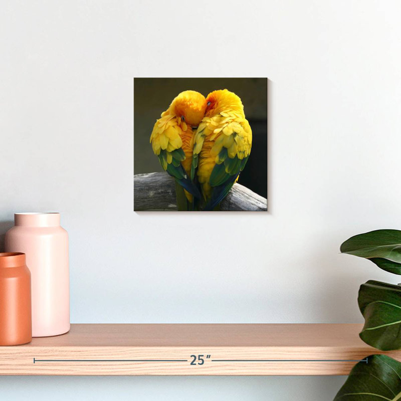 Brampt Lovebirds Snuggle, 10" H x 10" W