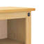 Freestanding Bathroom Cabinet