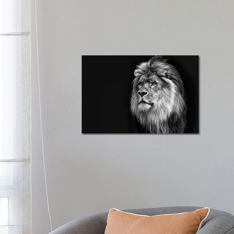 Majestic In Black & White by David Gardiner - Wrapped Canvas Print, 45.72cm H x 66.04cm W
