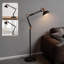 66.93cm Matte Swing Arm Floor Lamp