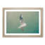 Seagull in Abstract - Picture Frame Graphic Art Print-55762110-55762111