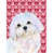 Bichon maltais 2