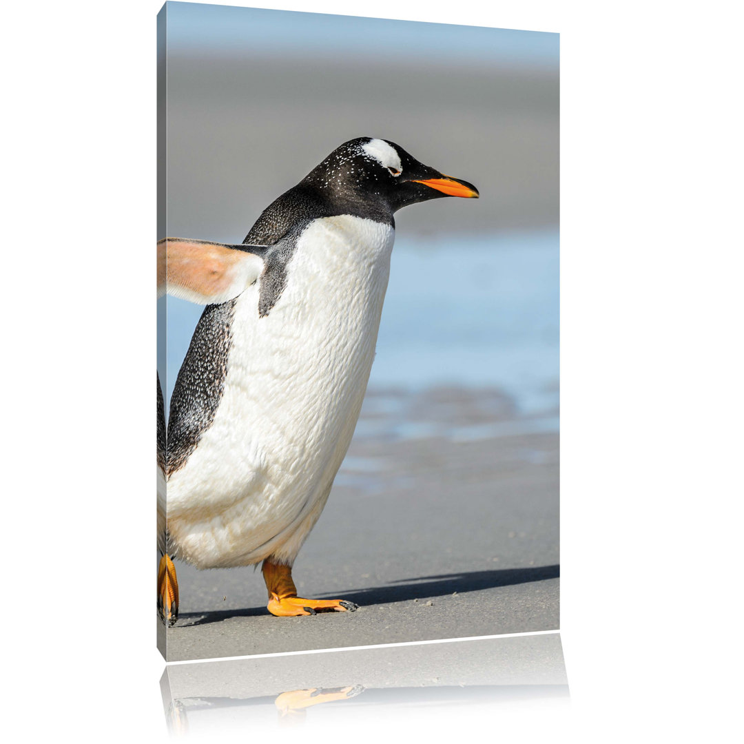 Leinwandbild Pinguin am Strand, Fotodruck