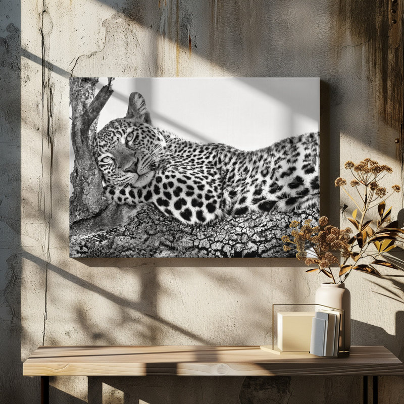 Wrapped Canvas Print, 60.96 cm H x 91.44 cm W