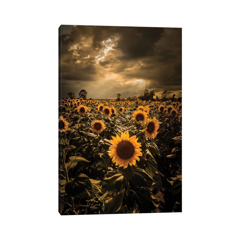 «Sunflowers» par Enzo Romano, impression sur toile tendue, H 40 po x l 26 po x P 1,5 po