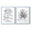 Reproduction encadrée de qualité supérieure B&W Plant Speciment IX - prête à être accrochée - aucun clou requis - aucun clou requis-1068397173-1068397174