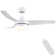 Small-CF 42'' Ceiling Fan with LED Lights