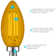 4.5 Watt (40 Watt Equivalent), B11 LED Candle Bulb, Coloured Light Bulb, E12/Candelabra Base